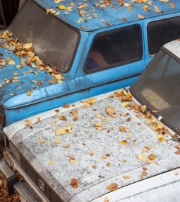 Soviet cars sit abandoned in Tbilisi, Georgia